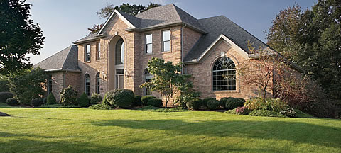 Experience the best service in the brick industry Experience the best service in the brick industry