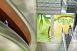 Da-Lite Introduces New Holo Screen Digital Signage Screen