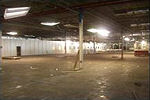 Angiotech Pharmaceuticals Project Starts