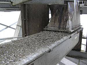 Bird Proofing Commercial Buildings Bird Proofing Commercial Buildings