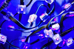 Martin Professional A/S and Lighting Science Group Sign Distribution Agreement