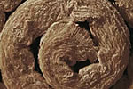 New Generation mineral wool products from Knauf Insulation