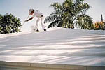 Windproof your roof with Roof Mastic