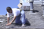 City of Newport Beach Guards Against Pest Birds