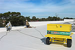 Cobra LifeLink Mobile Fall Protection Cart