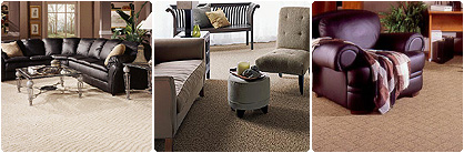 Carpet
