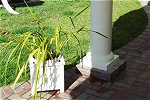Landscape Applications
