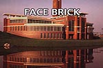 Face Brick