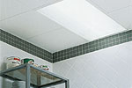 Ceiling Systems