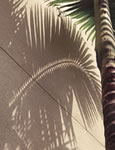 LaHabra Premix Stucco
