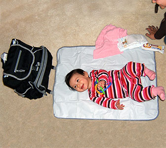 Parent Pack Diaper Bag