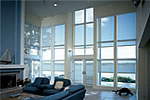 Window Shades
