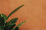 Stucco d'Raffinato