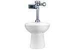 High-Efficiency Toilets