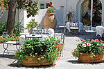 Decorative Coatings