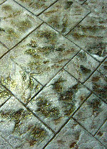 Decorative Concrete Product Information: Supplemental Products, Tools & Marketing Materials