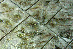 Decorative Concrete Product Information: Supplemental Products, Tools & Marketing Materials