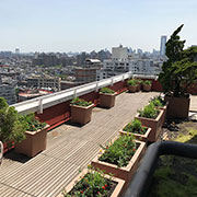 Modern Planters for Rooftop Gardens
