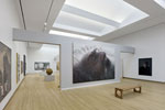 Museum-Quality Daylighting™ On Exhibit In Sacramento