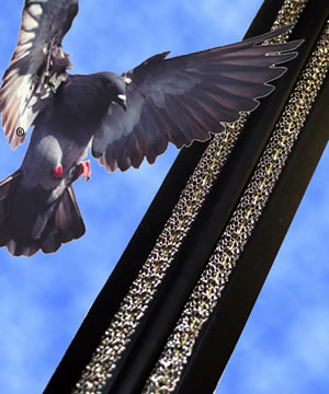 New Patent for Anti-Arcing Design on Bird Jolt System New Patent for Anti-Arcing Design on Bird Jolt System