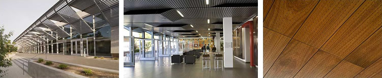 Newly Renovated Law Commons Appeals to Senses Newly Renovated Law Commons Appeals to Senses