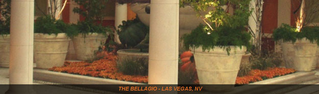 TerraCast Used At The World Famous Belagio Hotel In Las Vegas TerraCast Used At The World Famous Belagio Hotel In Las Vegas