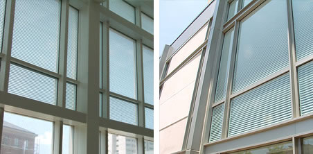 Vision Control® Mini - thinner louvered glazing solution for door applications Vision Control® Mini - thinner louvered glazing solution for door applications
