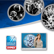 Xypex Crystalline Technology
