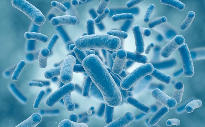 Antimicrobial Protection for Architectural Aluminum