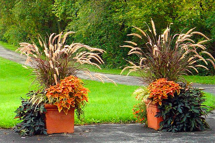 Autumn Inspiration in Landscape Design