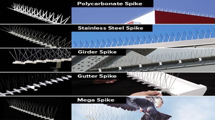 Bird B Gone Offers Widest Variety of Bird Spikes - Made in the USA!