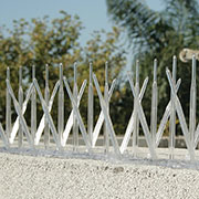 Bird-B-Gone Plastic Bird Spikes