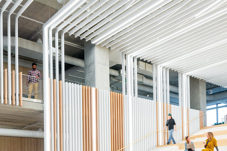 Adobe North Tower | Office Ceiling Design