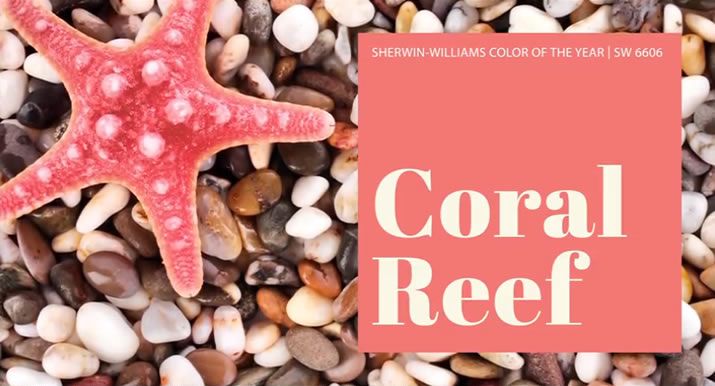 Coral Reef! Jackie Jordan on the 2015 Color of the Year