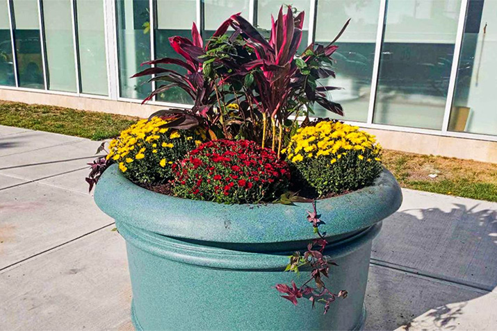 Create fall planters that stand out
