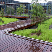 Custom Railing at U.S. Coast Guard Headquarters