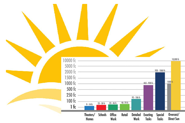 Daylighting Design: How Much Light Do You Need?