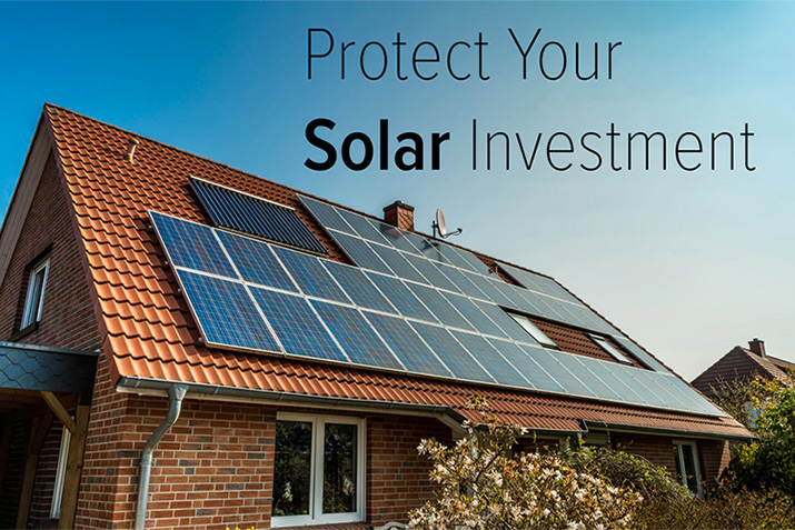 Don't let birds ruin your solar panel investment