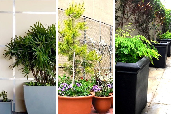 Downspout Planters: Sustainable and Aesthetic Solution to Rainwater Management Downspout Planters: Sustainable and Aesthetic Solution to Rainwater Management