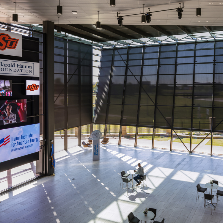 Window Shades Window Shades