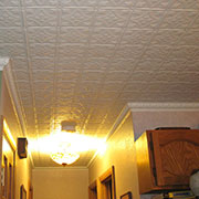 Drop-In Decorative Ceiling Tiles