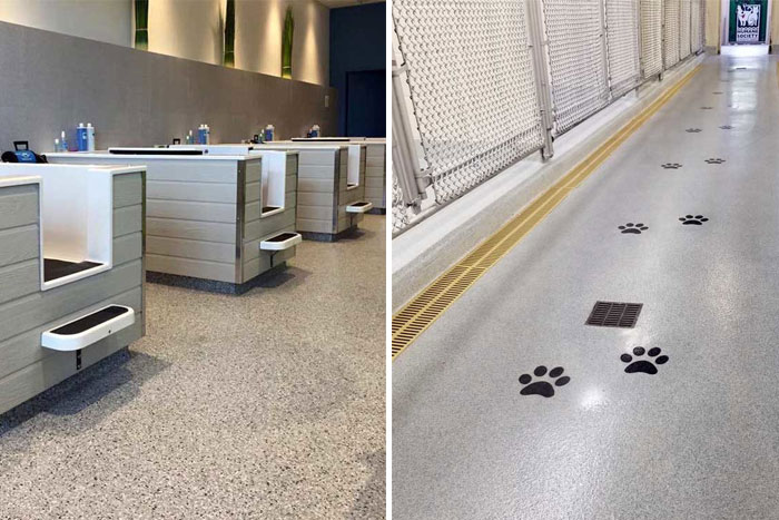 Elite Crete Systems for Animal Wellness