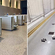 Elite Crete Systems for Animal Wellness