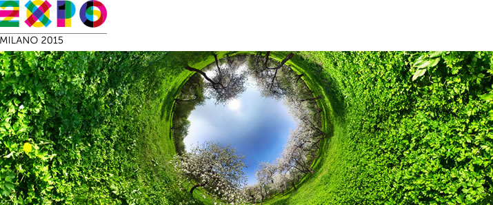 Feeding the Planet, Energy for Life