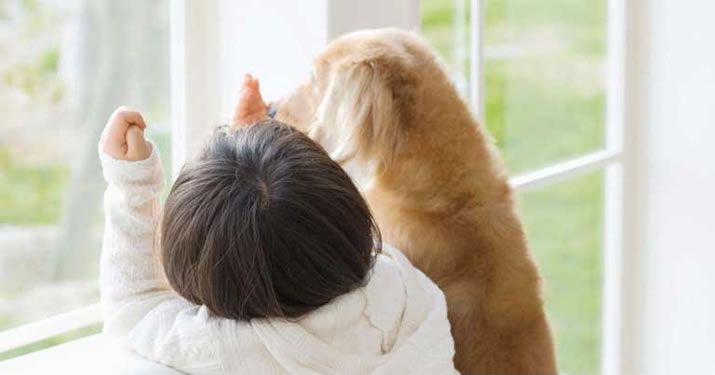 Fresh air systems. Better air. Better life.