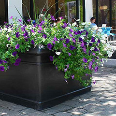 Fresh Planter Designs with a Pop of Color
