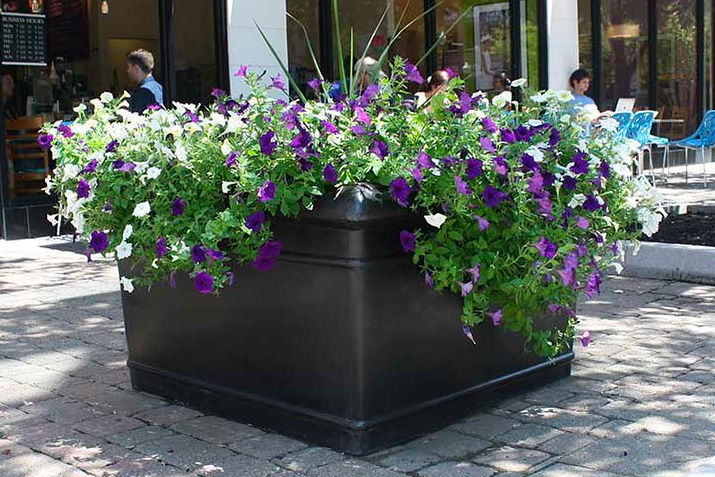 Fresh Planter Designs with a Pop of Color