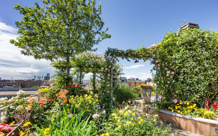 Green Building Tips: How To Create Eco-Friendly Landscaping