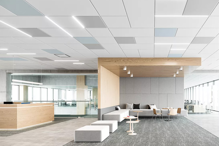 Total Noise Control + Resistant to Mold, Mildew & Bacteria + Cleanable + Durable = Health Zone™ Ceilings