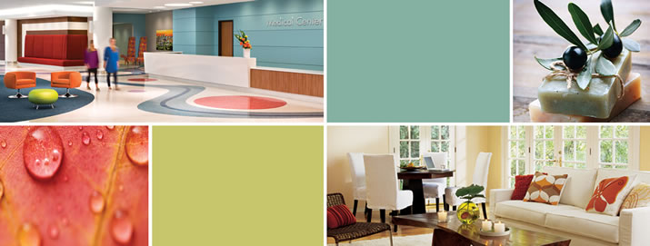 Healthcare Color Palettes